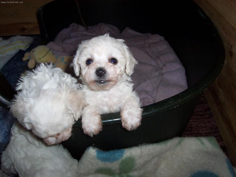 Foto: tv���m se hezky?