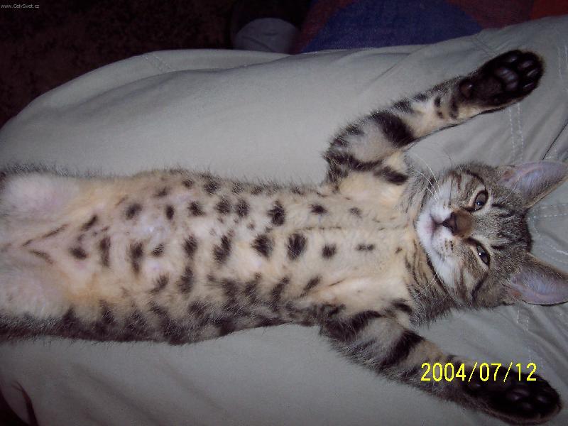 Foto: Vzd�v�m se!