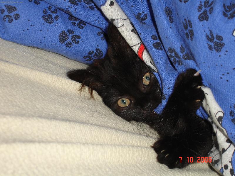 Foto: M�j aktivn� mazl�k-"Pro� m� bud�?"