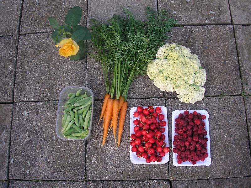 Foto: no to je �roda!