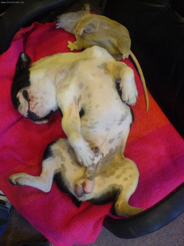 Foto: Greccou�ek-Nejpohodln�j�� spinkan��ko....