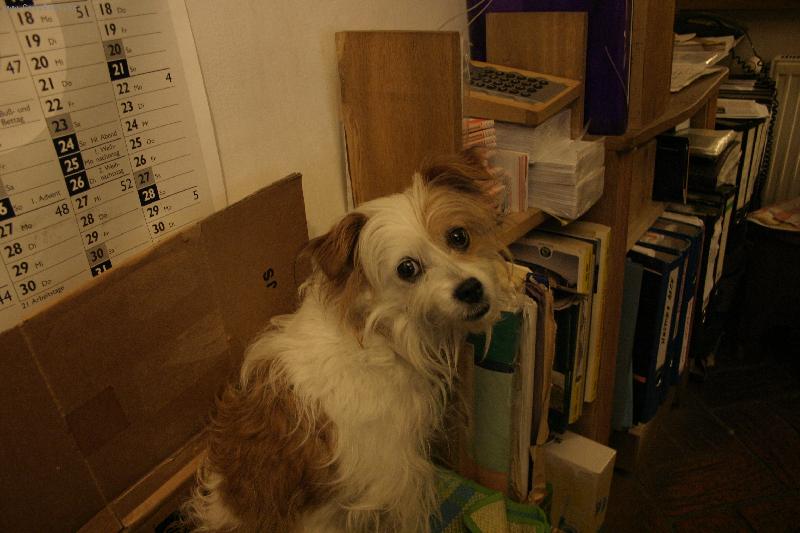 Foto: To je ale v�c�.