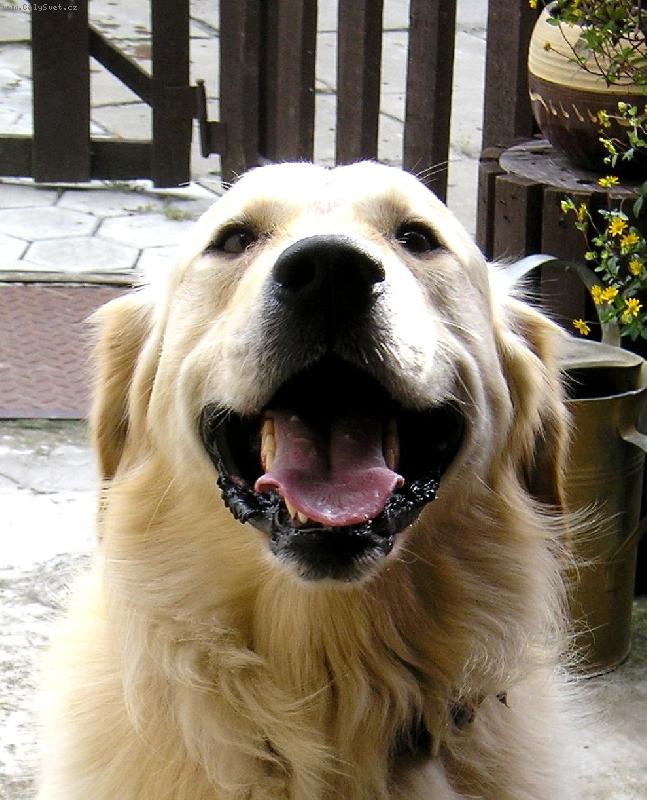 Foto: Up��mn� �sm�v-n� Ron