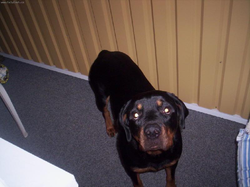 Foto: Kimi-Kam jste mi to schovali?