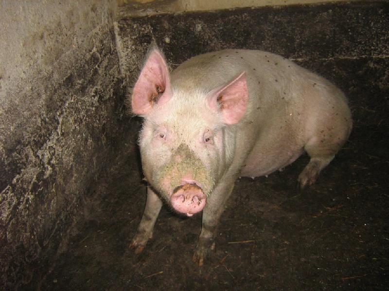 Foto: Pa��k-To mi to, ale slu�� co ??