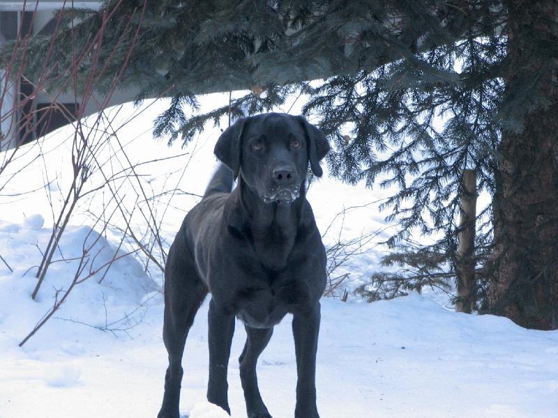 Foto: na�e Ronu�ka