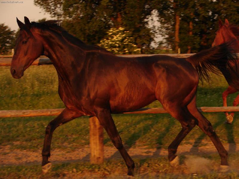 Foto: z�pad slunce