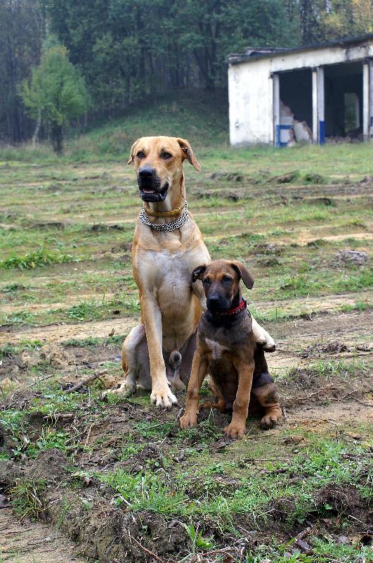 Foto: T�ta se synkem