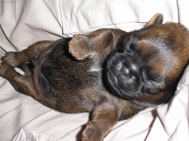 Foto: to je to zivot!!