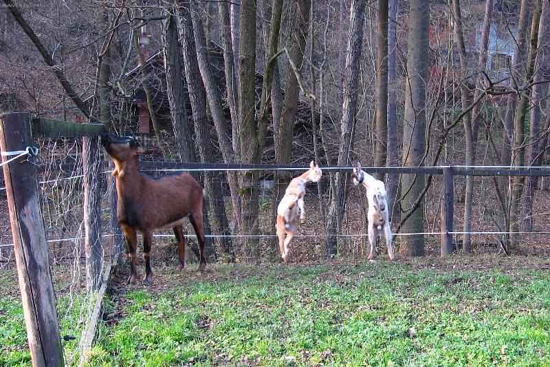 Foto: kdo vysko�� v�?