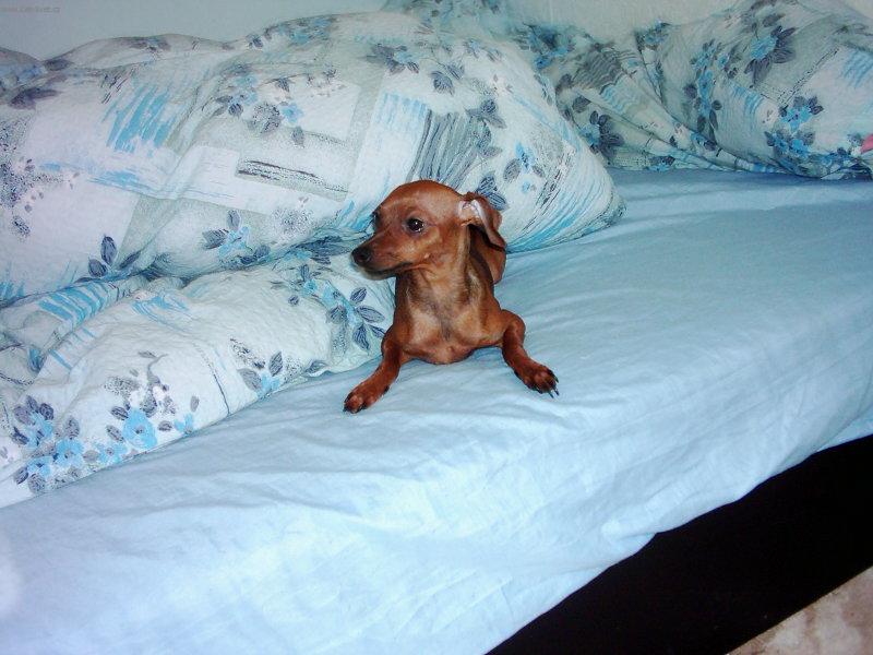 Foto: moje post�lka...-je�t� chvilku...