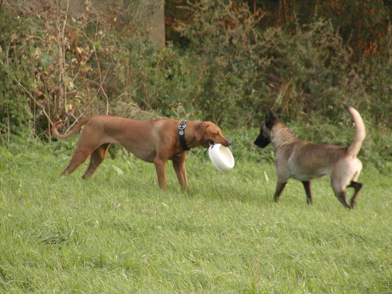 Foto: J� �am-Bude pap�n�?