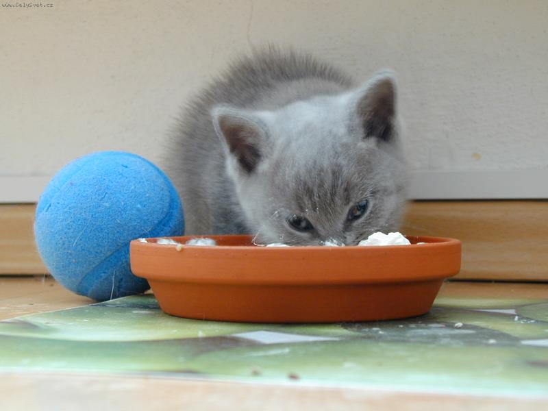 Foto: Kdy� budu hodn� ba�tit, vyrostu jako m�ma