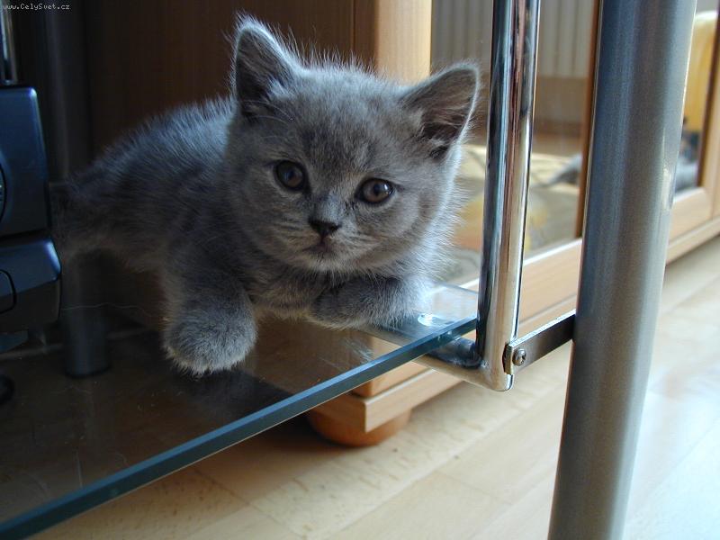 Foto: Dekorace do bytu...