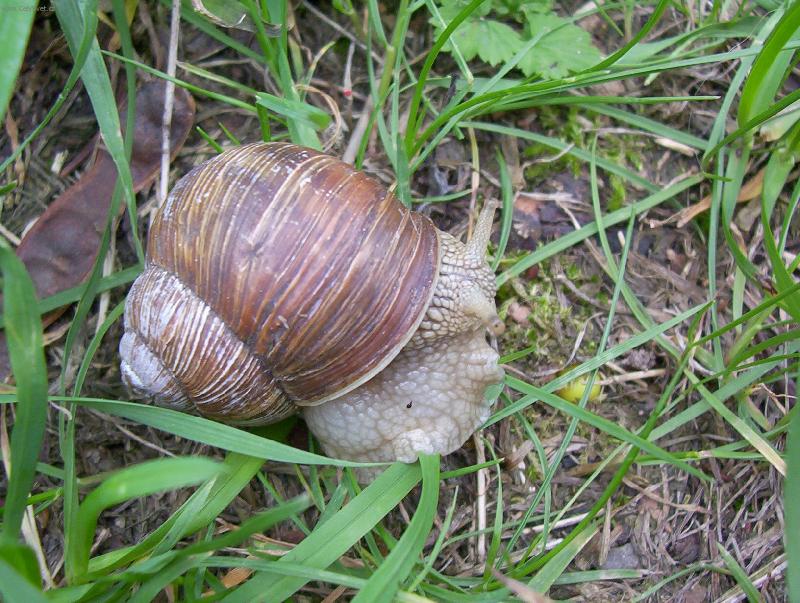 Foto: Vystr� �ne�ku, vystr� r��ky