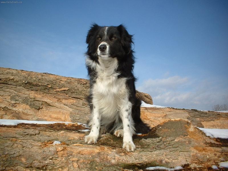 Foto: Ta�i-To je v�hled