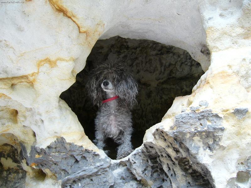 Foto: Jessy-To m�m kr�snou boudu!