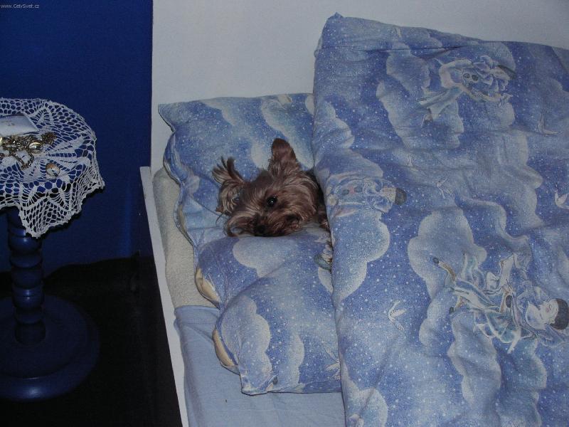 Foto: mal� Johny v na�� velk� posteli-...jako mal� lord