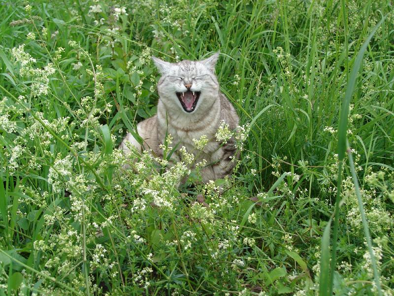 Foto: U�������