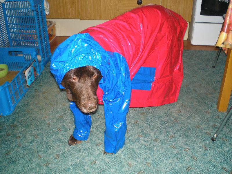 Foto: a m��eme j�t-na�e Sinda se vym�dila na proch�zku,pr�elo.