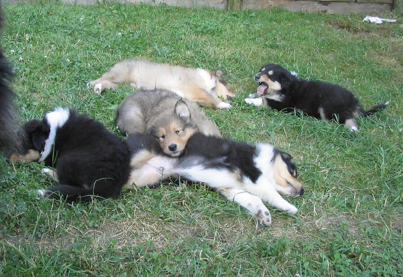 Foto: ...pohoda,kl�dek,tab��ek...-...pohoda,kl�dek,tab��ek...