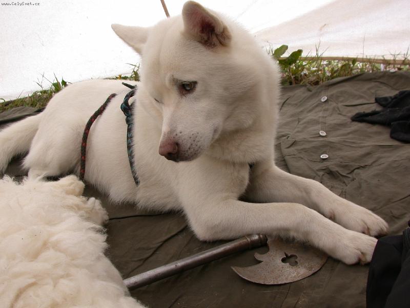 Foto: To u� v�n� jedeme zase domu????