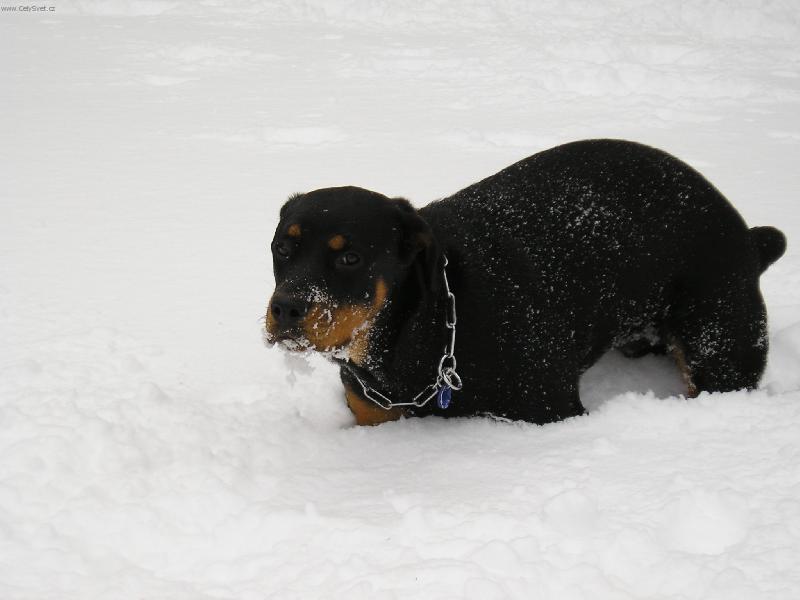 Foto: Zapadla jsem-...a jak se te� m�m ven�it?