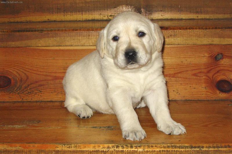 Foto: Aisha-To mi jsou 3 t�dny.