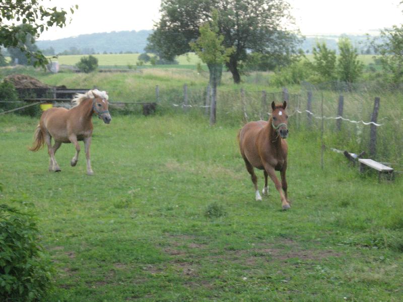 Foto: Eli�ko chy� si m�-Hafling a h��b�