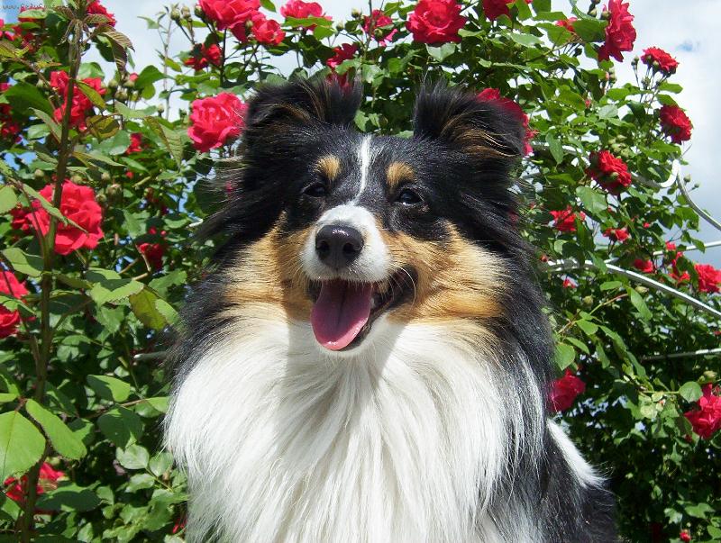 Foto: 1-Moje Sindynka