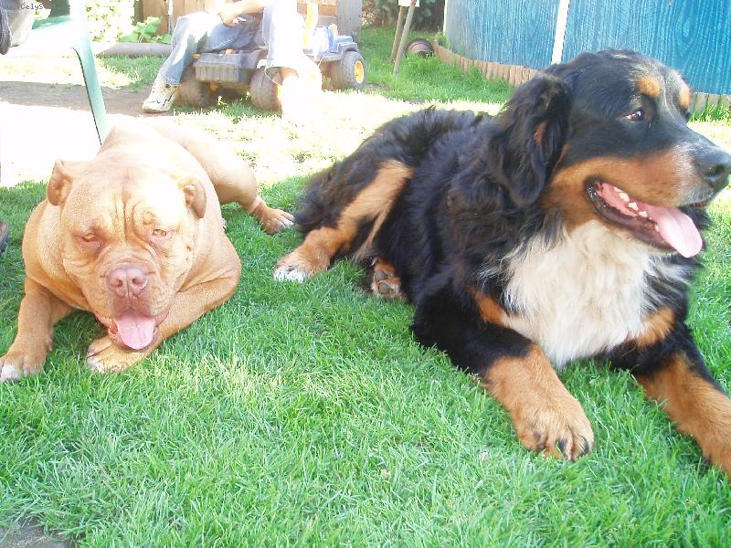 Foto: Max�k a Samira-utahan� k�mo�i