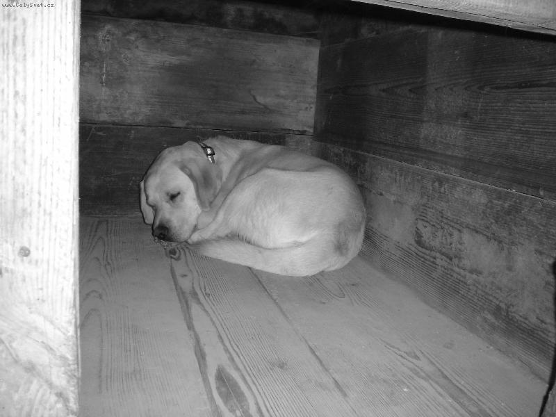 Foto: Spink�m...Tak dobrou