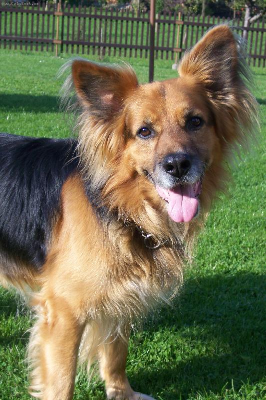 Foto: Bratr Sax�ny-...u�� m�m po tat�nkovi,on byl toti� netop�r...