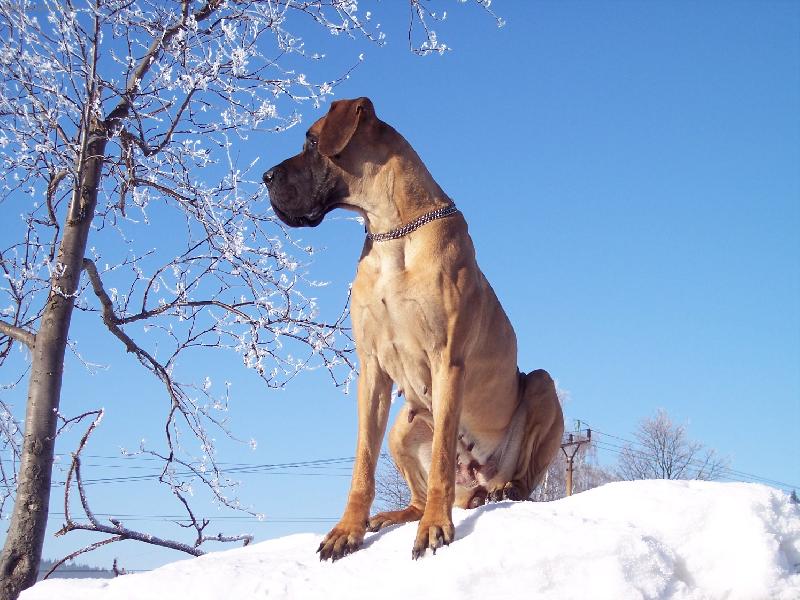 Foto: N�MECK� DOGA