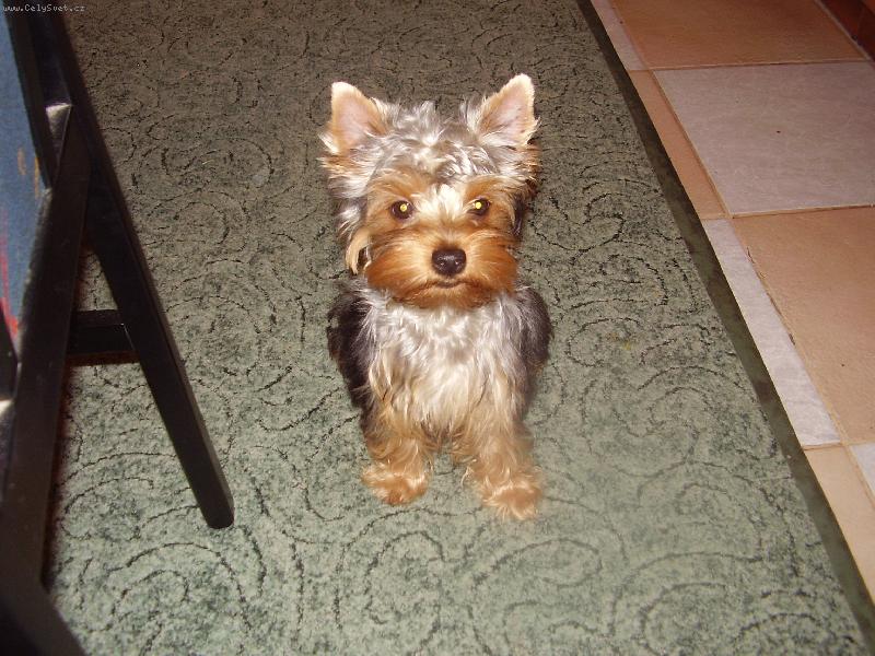 Foto: kikinka-upadne n�co dobr�ho?