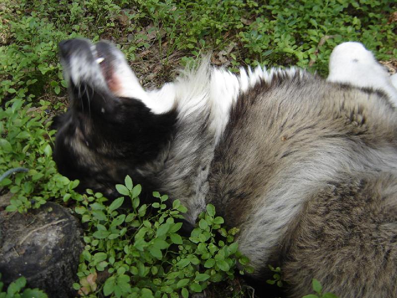 Foto: sb�ra� bor�vek