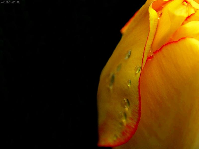 Foto: Pro mou l�sku....