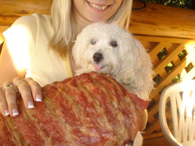 Foto: Dasty-mam hlad!