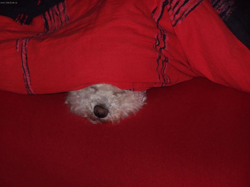 Foto: CHlup��-Hra na schov�vanou