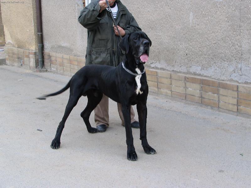 Foto: Hitschcock-jsem fe��k