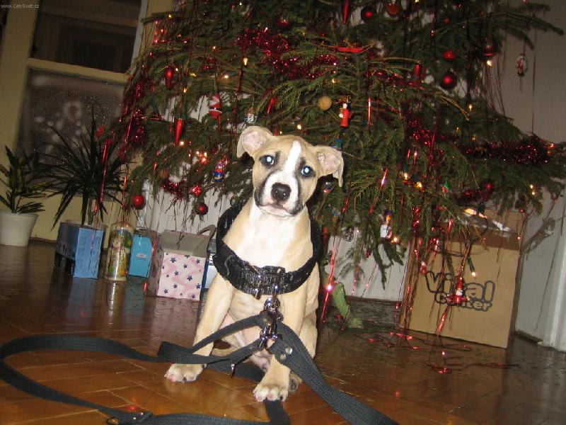 Foto: ��kaj� �e dorostu-Ter�a