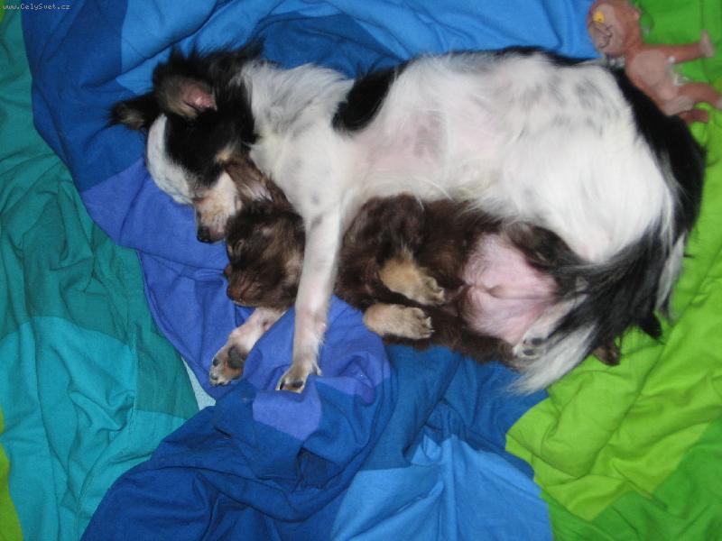 Foto: a tak som si ho adoptoval......