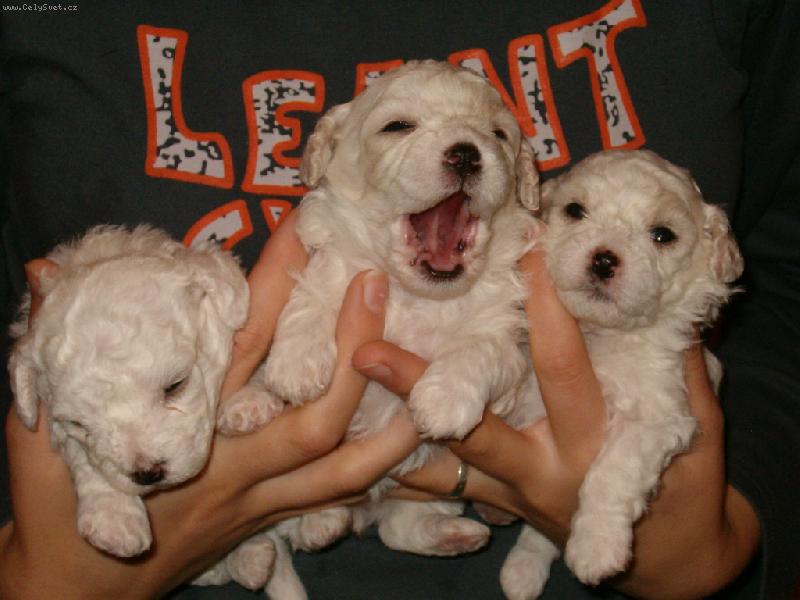 Foto: T��khle jsme unaveni