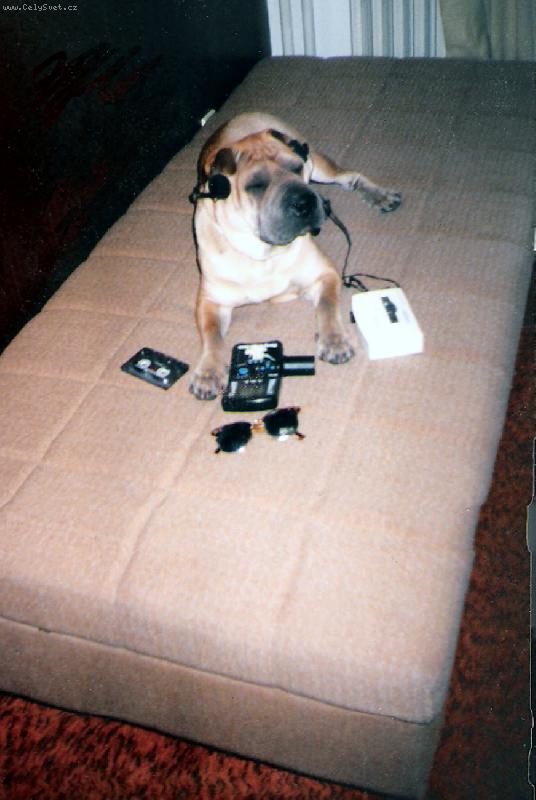 Foto: Endy-M�l r�d pomal� p�sni�ky