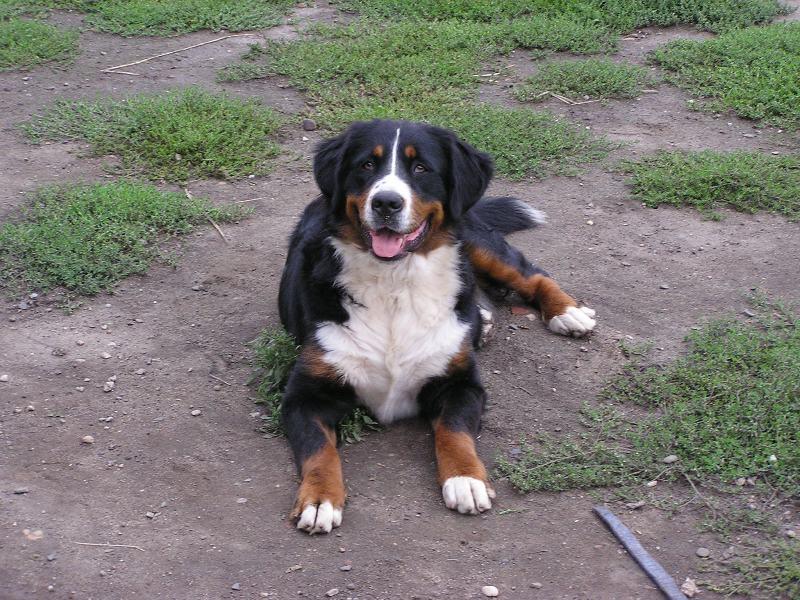 Foto: �sm�v pros�m!!!