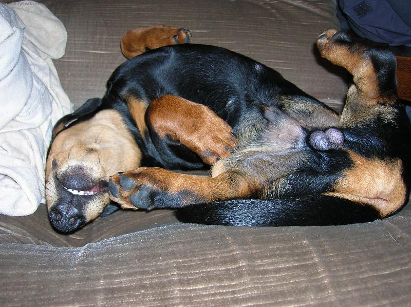 Foto: Valda-Valda le��