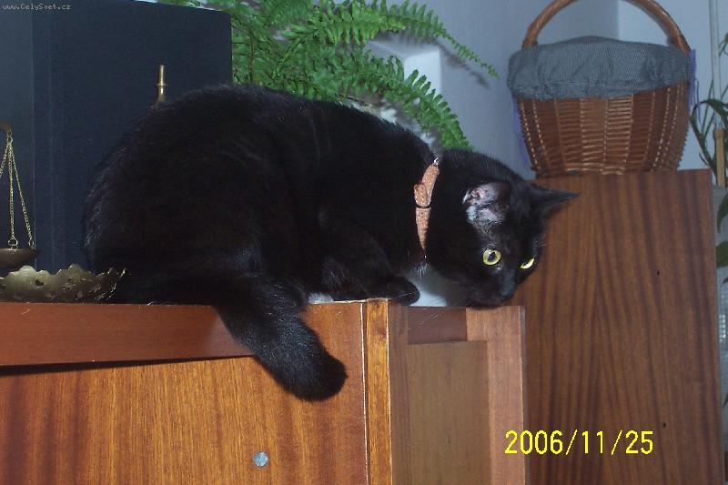 Foto: ve st�ehu.....