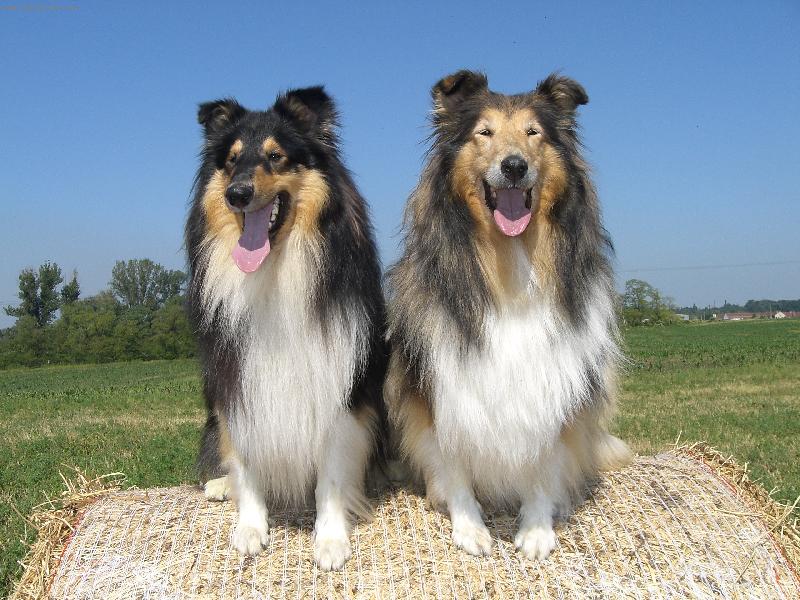 Foto: Ulvar a Beky-L�TO 2006