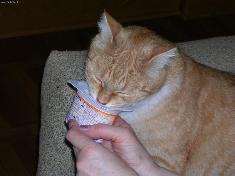 Foto: Pochutn�n� na�eho Mat�ska