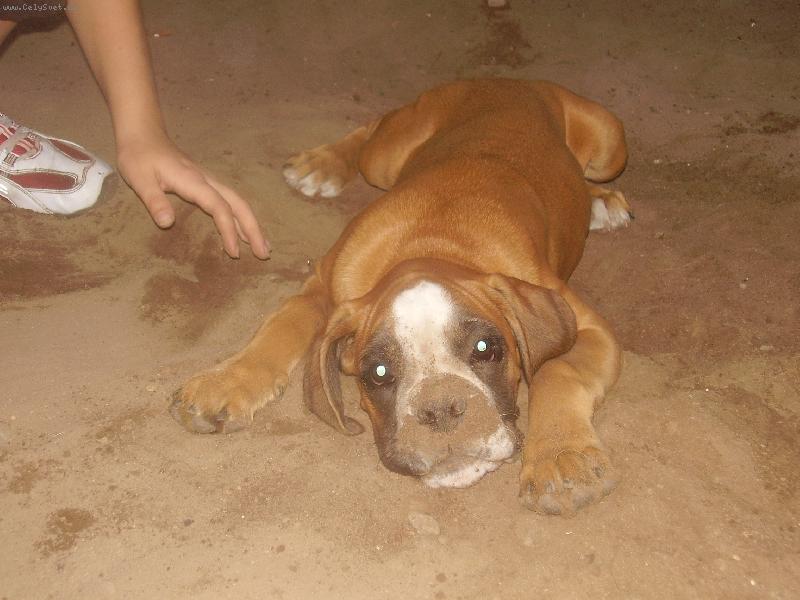 Foto: Hrajeme si na krte�ka...